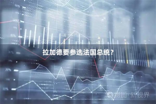 拉加德要参选法国总统？